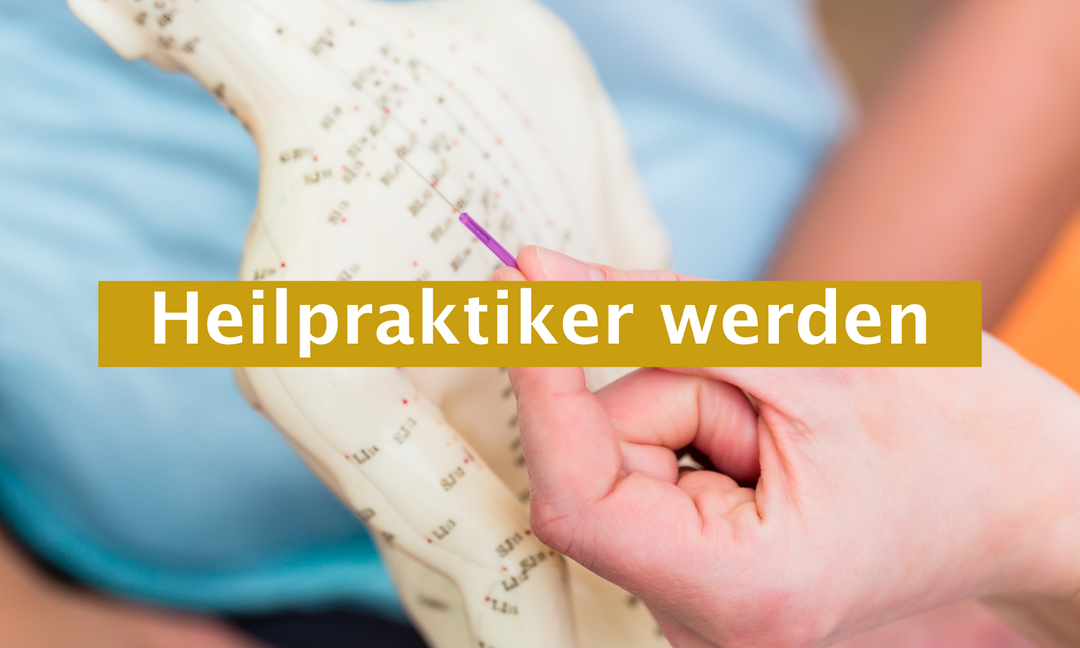 Heilpraktiker werden: Beruf mit Sinn – und wie VITORI® Dich auf diesem Weg begleitet