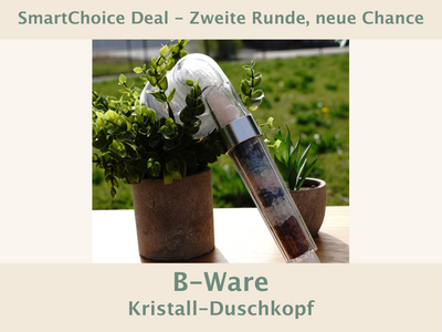 B-Ware - Duschkopf - VITORI