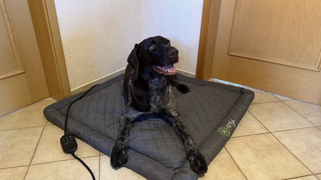 VITORI® PetMat