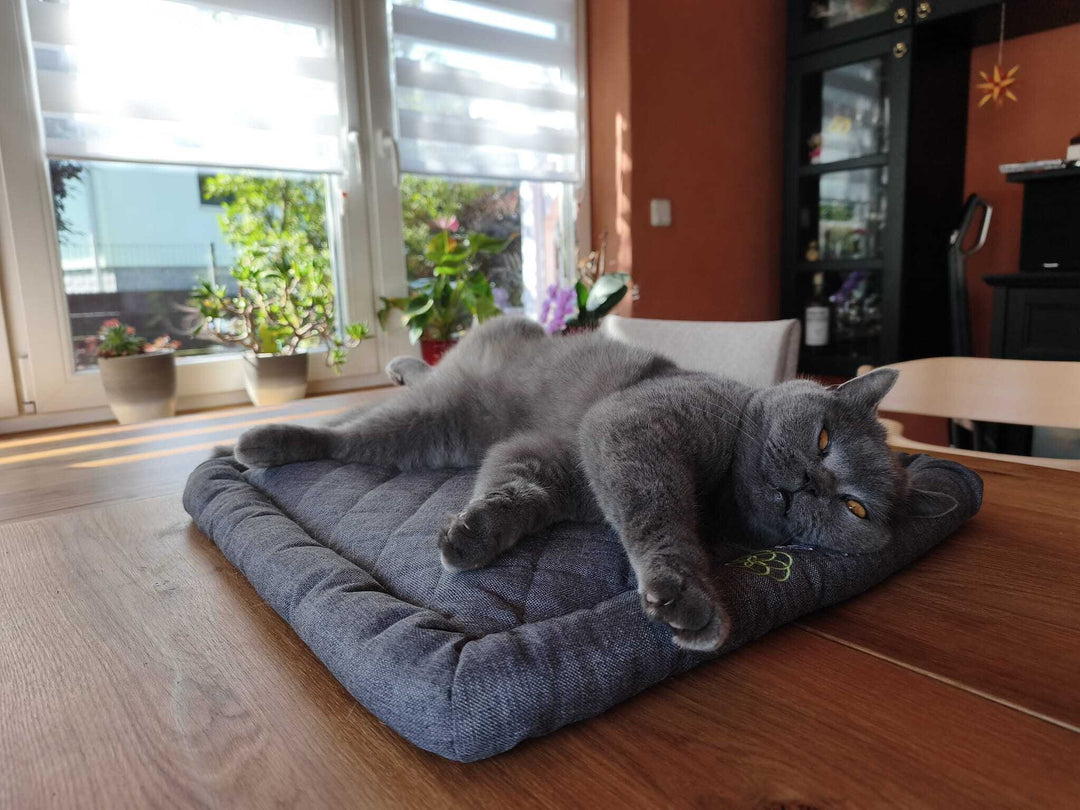 VITORI® PetMat