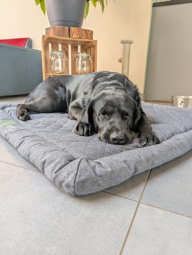 VITORI® PetMat